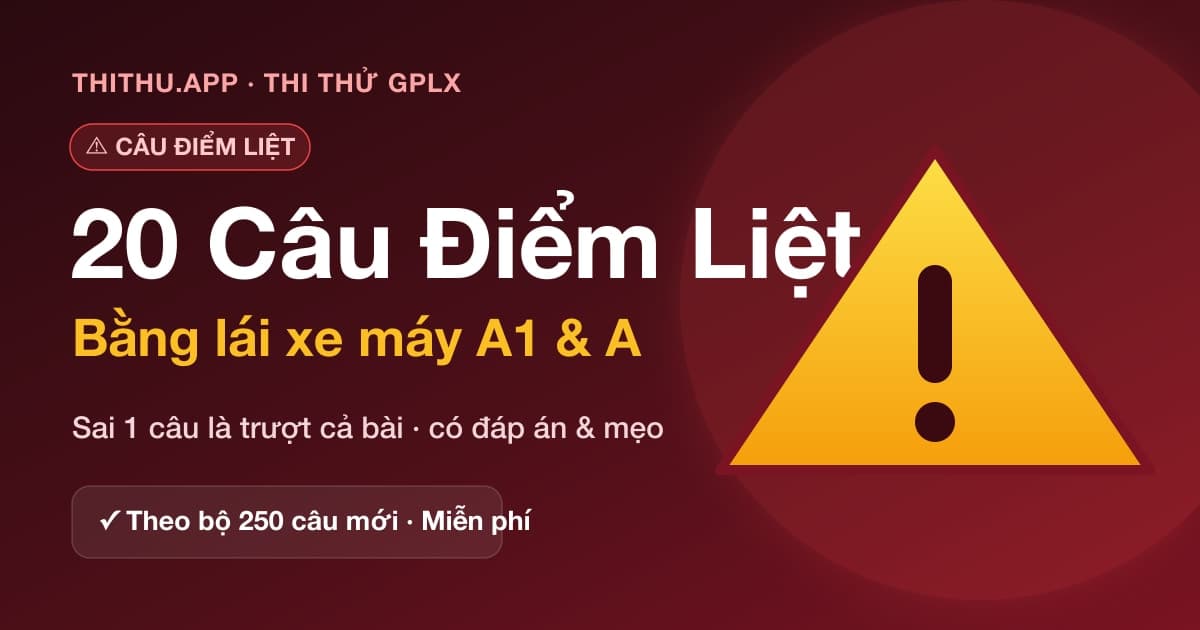 20 Câu Điểm Liệt A1, A: Đáp Án & Giải Thích