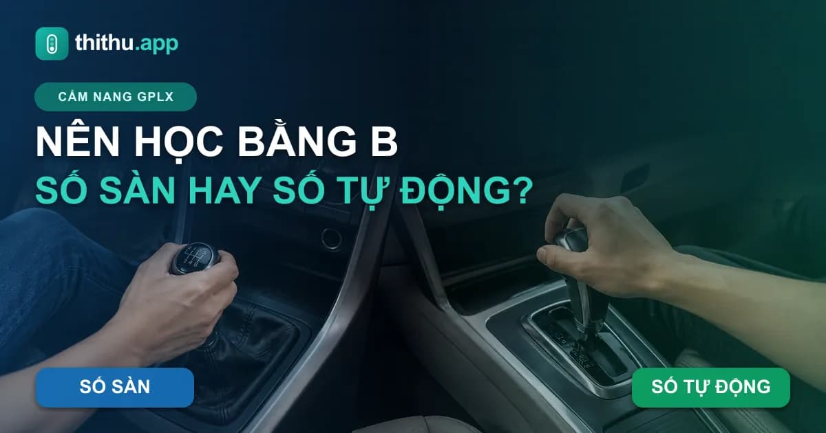 So sánh học và thi bằng B số sàn với số tự động